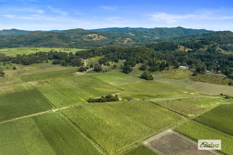 Third view of Homely rural property listing, 57 Hulls Road, Crabbes Creek NSW 2483
