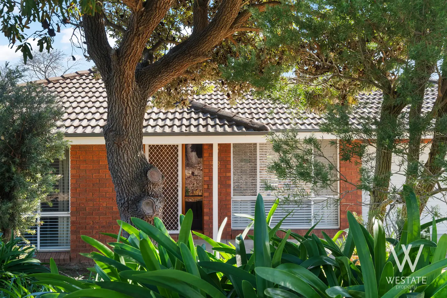 Main view of Homely house listing, 53 Lorimer Street, Llanarth NSW 2795