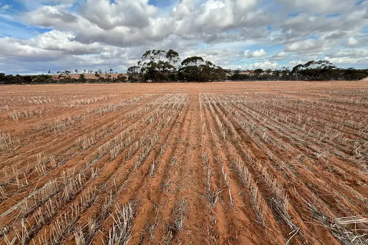 Lot 308 Burton Road, Ambania WA 6632