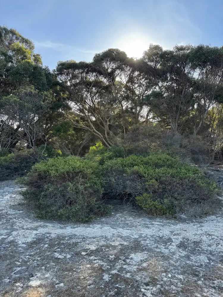 Third view of Homely rural property listing, 50 North Coast Road, Kingscote SA 5223
