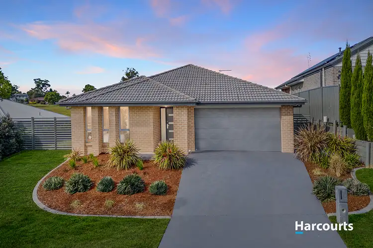 62 Laurie Drive, Raworth NSW 2321