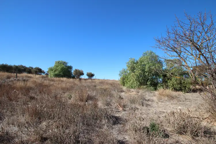 Fifth view of Homely land listing, Lot 16 & 1 West Terrace, Burra SA 5417