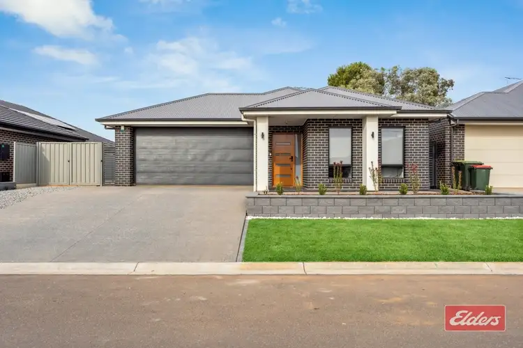 11 Harvey Crescent, Evanston South SA 5116