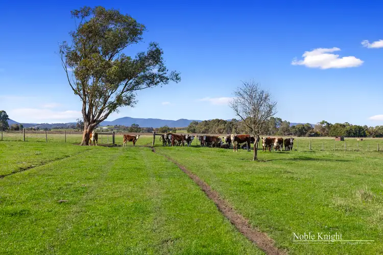 Third view of Homely rural property listing, 1077 Melba Highway, Yarra Glen VIC 3775