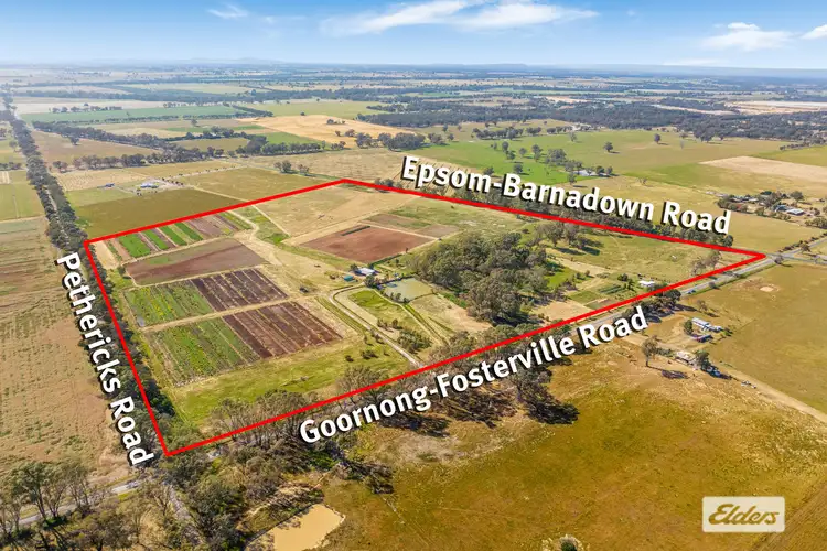 421 Goornong-Fosterville Road, Goornong VIC 3557