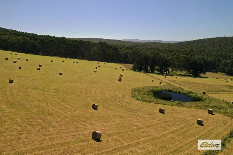 Third view of Homely rural property listing, Wests Road, Alberton West VIC 3971