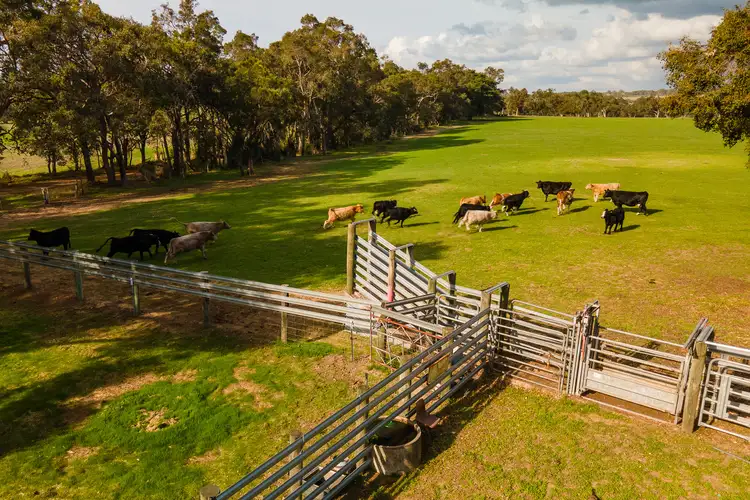 Sixth view of Homely rural property listing, 117 Farquhar Road, Chapman Hill WA 6280