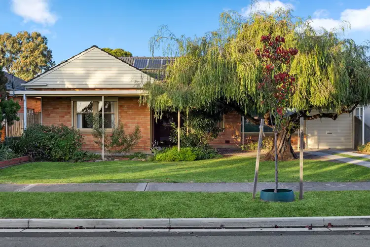 15 Park Terrace, Plympton Park SA 5038