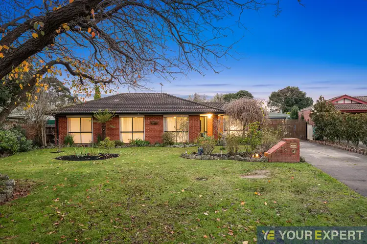 8 Delphin Court, Narre Warren VIC 3805