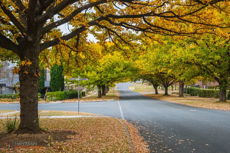 Second view of Homely house listing, 11 Weston Street, Yarralumla ACT 2600