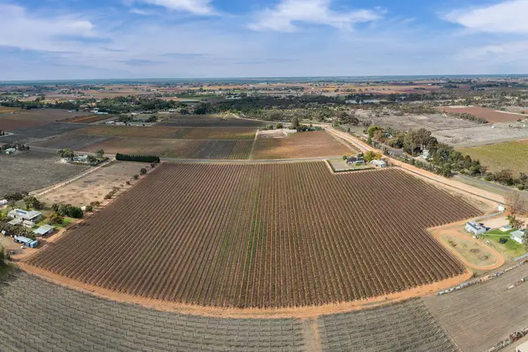 Second view of Homely rural property listing, Lot 1 Euston Avenue, Irymple VIC 3498