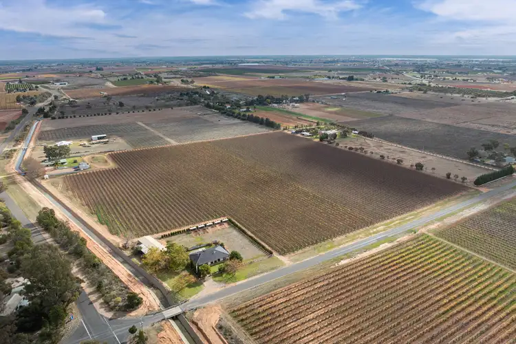 Third view of Homely rural property listing, Lot 1 Euston Avenue, Irymple VIC 3498
