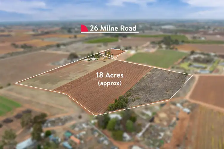 26 Milne Road