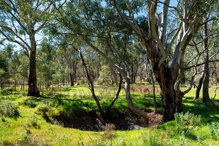 Fifth view of Homely rural property listing, CA 4, 5, 7 Plonk Gully Track, Redcastle VIC 3523