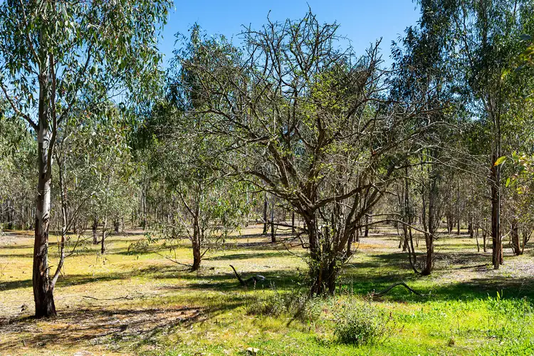 Sixth view of Homely rural property listing, CA 4, 5, 7 Plonk Gully Track, Redcastle VIC 3523