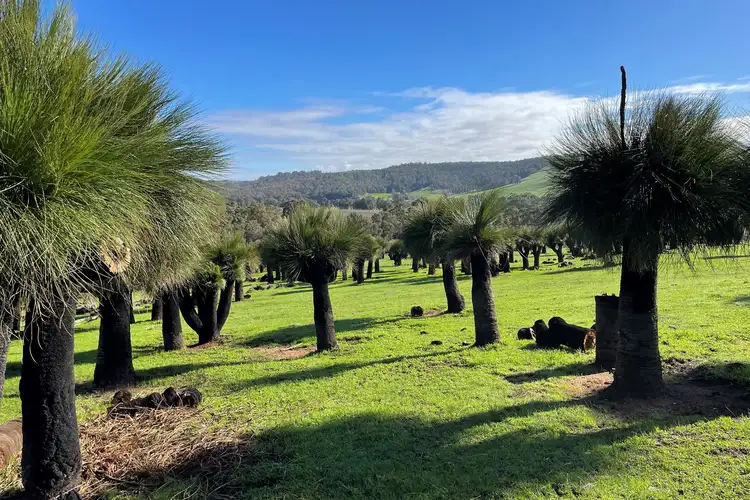 Third view of Homely rural property listing, Lot 2062 Chapman Road, Yabberup WA 6239