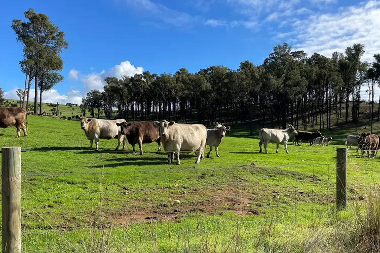 Fourth view of Homely rural property listing, Lot 2062 Chapman Road, Yabberup WA 6239