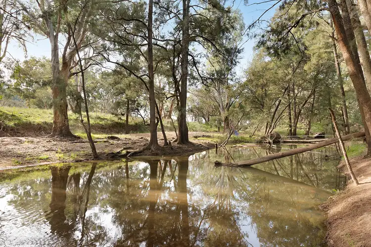 Third view of Homely rural property listing, 252 Gardiners Road, Gulgong NSW 2852