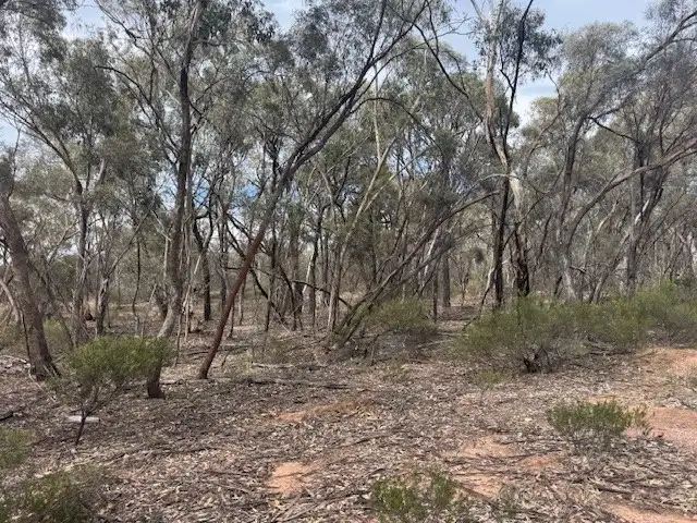 Second view of Homely rural property listing, LOT 6 Old Boort Road, Wedderburn VIC 3518