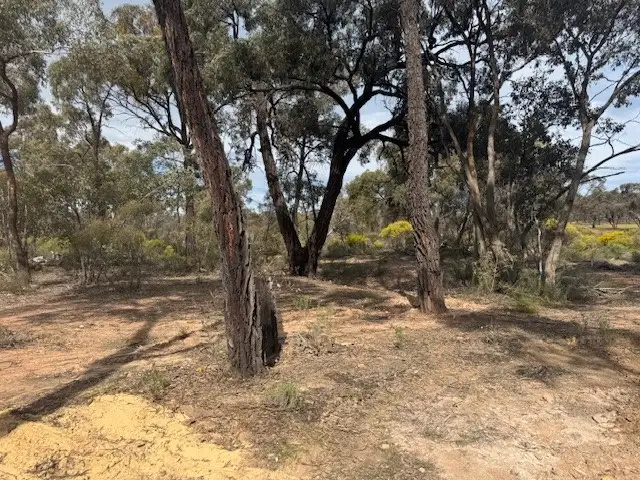 Fifth view of Homely rural property listing, LOT 6 Old Boort Road, Wedderburn VIC 3518