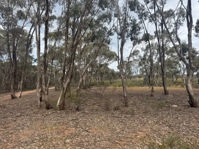 Seventh view of Homely rural property listing, LOT 6 Old Boort Road, Wedderburn VIC 3518