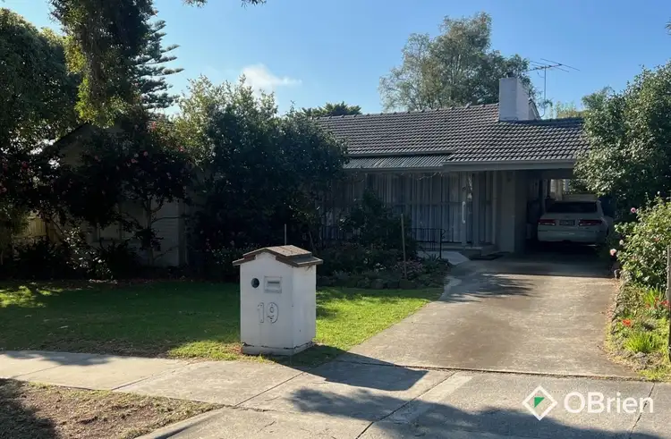 Main view of Homely house listing, 19 Berberis Crescent, Frankston VIC 3199