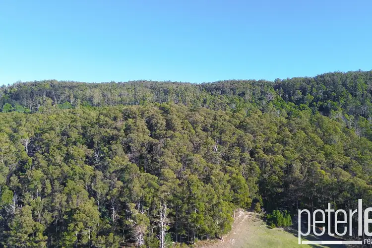 Third view of Homely land listing, 196 Evans Road, Karoola TAS 7267