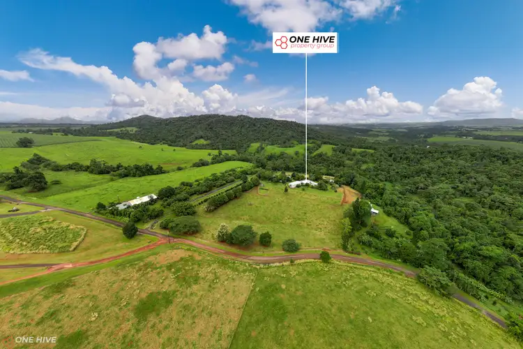 Second view of Homely rural property listing, 546 Utchee Creek Road, Utchee Creek QLD 4871