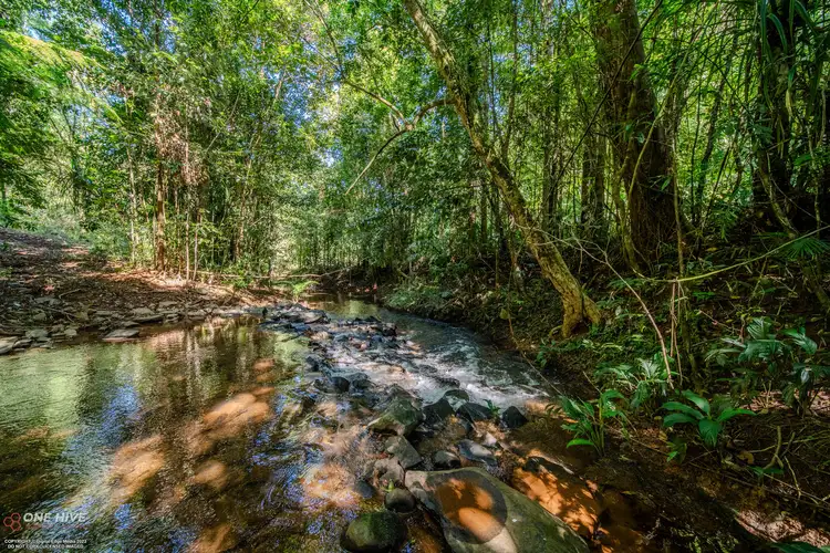 Fourth view of Homely rural property listing, 546 Utchee Creek Road, Utchee Creek QLD 4871