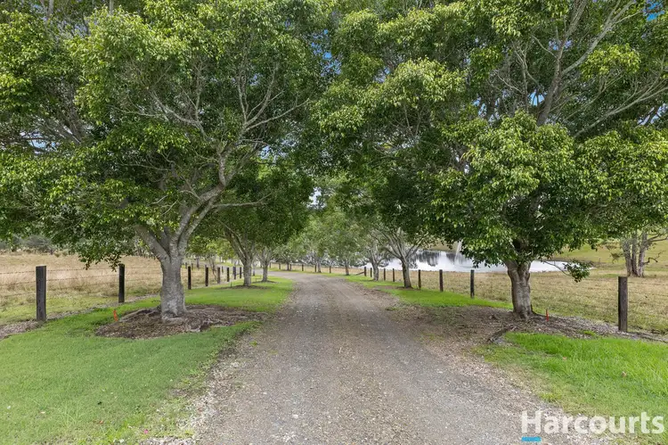 Fifth view of Homely rural property listing, 319 Chichester Dam Road, Dungog NSW 2420
