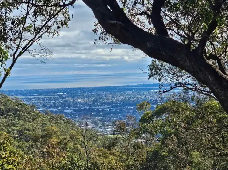 12 Winding Way, Belair SA 5052