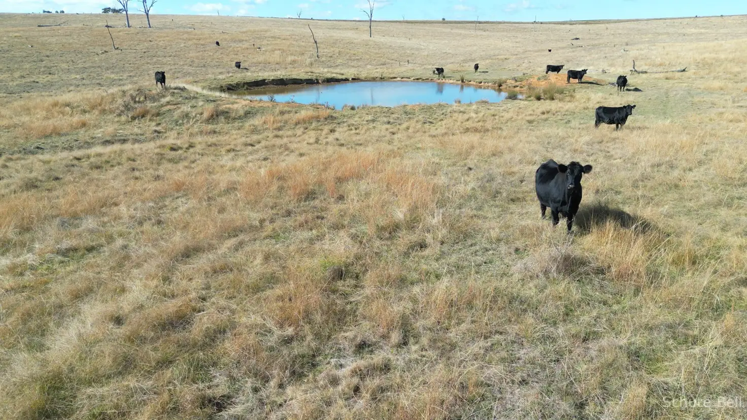 Main view of Homely rural property listing, 50 Medways Lane, Gunning NSW 2581