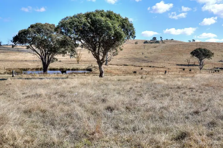 Fourth view of Homely rural property listing, 50 Medways Lane, Gunning NSW 2581