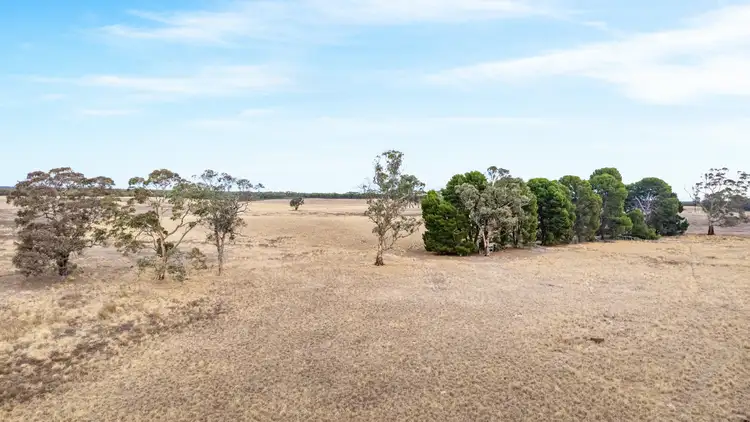 Third view of Homely rural property listing, Natimuk-Frances Road, Peronne VIC 3413