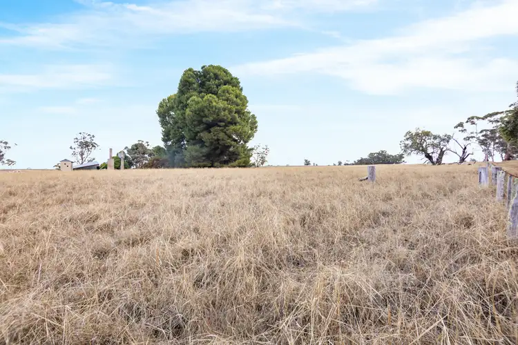 Fifth view of Homely rural property listing, Natimuk-Frances Road, Peronne VIC 3413