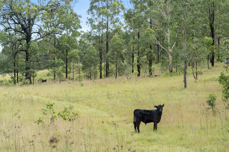 Sixth view of Homely rural property listing, 2/2325 Monkerai Road, Weismantels NSW 2415
