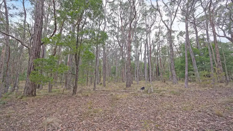 Sixth view of Homely land listing, 98 Cowans Drive, Dales Creek VIC 3341