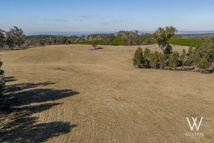 Main view of Homely land listing, 238 Pounds Lane, Kings Plains NSW 2799