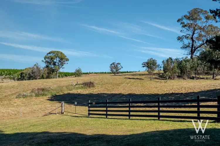 Second view of Homely land listing, 238 Pounds Lane, Kings Plains NSW 2799
