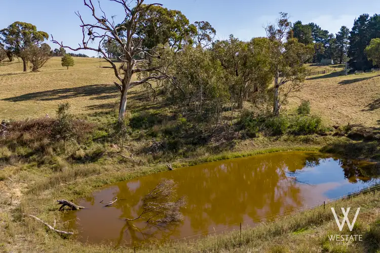 Fourth view of Homely land listing, 238 Pounds Lane, Kings Plains NSW 2799