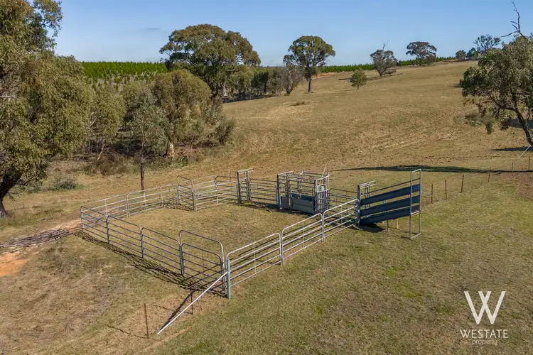 Fifth view of Homely land listing, 238 Pounds Lane, Kings Plains NSW 2799