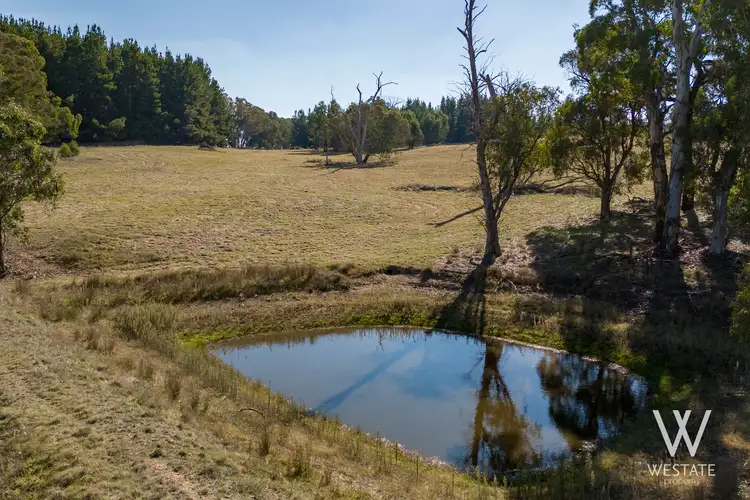 Sixth view of Homely land listing, 238 Pounds Lane, Kings Plains NSW 2799