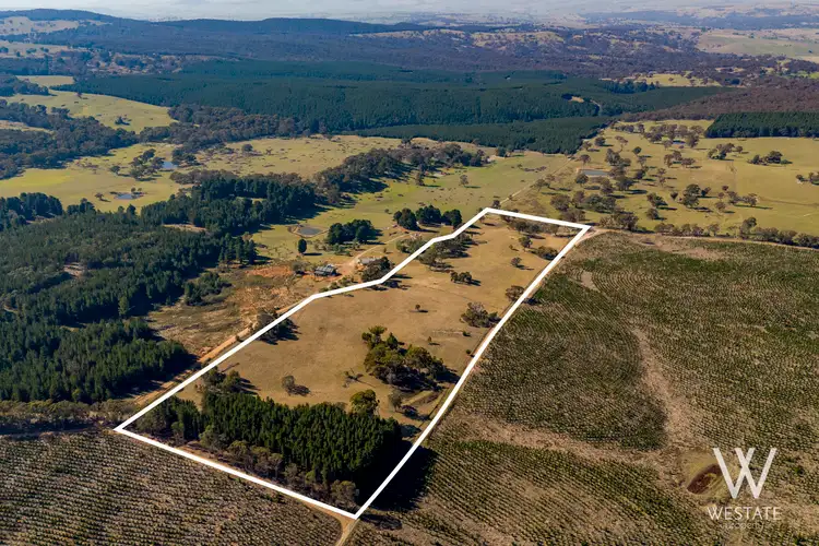 Seventh view of Homely land listing, 238 Pounds Lane, Kings Plains NSW 2799