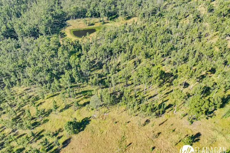 Fourth view of Homely rural property listing, 1912 Willi Willi Road, Moparrabah NSW 2440