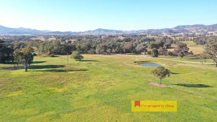 72 Spring Flat South Lane, Mudgee NSW 2850