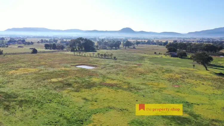Fifth view of Homely rural property listing, 72 Spring Flat South Lane, Mudgee NSW 2850