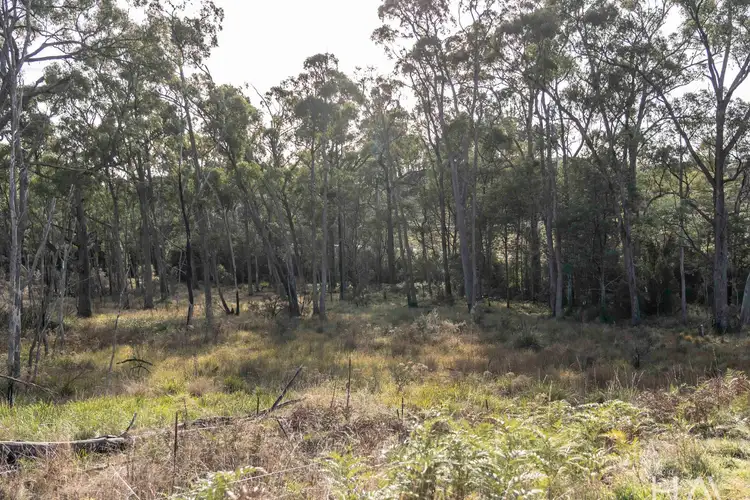 Fourth view of Homely rural property listing, LOT 1 Patersonia Road, Nunamara TAS 7259