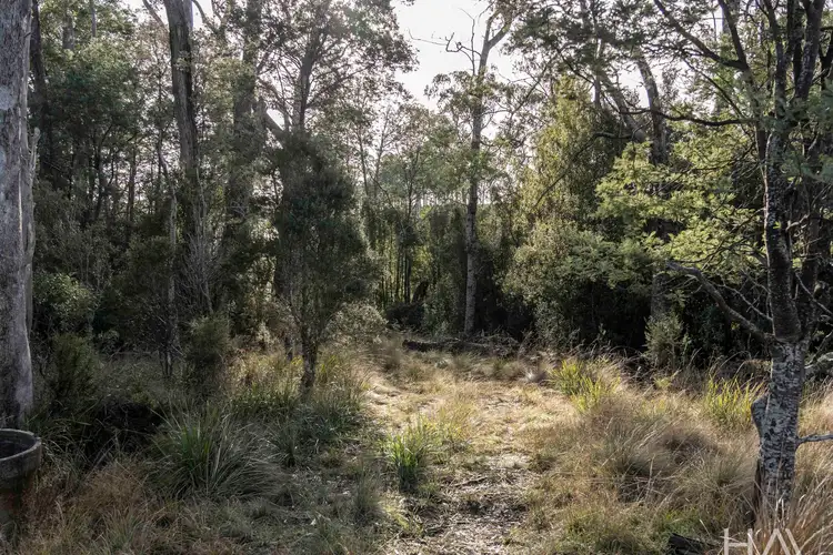 Fifth view of Homely rural property listing, LOT 1 Patersonia Road, Nunamara TAS 7259