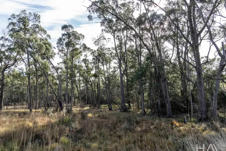 Sixth view of Homely rural property listing, LOT 1 Patersonia Road, Nunamara TAS 7259