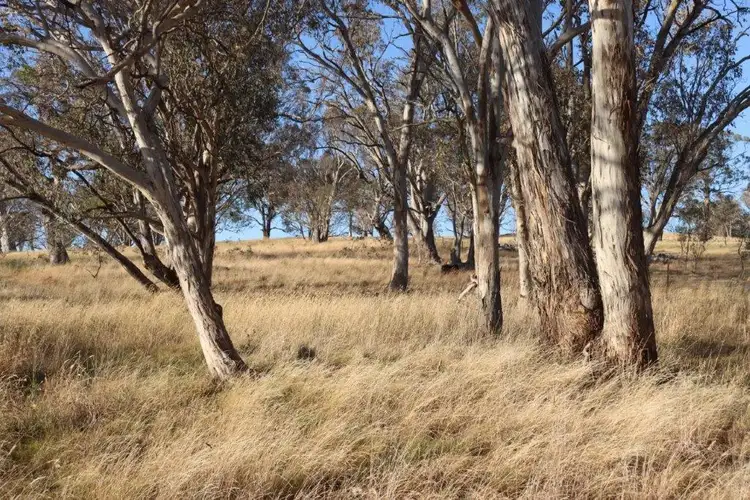 Third view of Homely land listing, 224 Boambolo Road, Yass NSW 2582